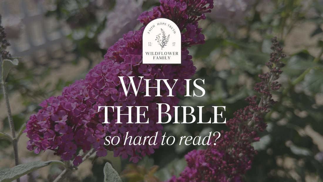 Why is the Bible so Hard to Read?