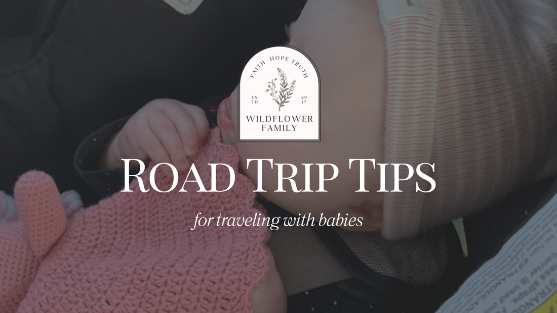 Road Trip Tips for traveling with babies