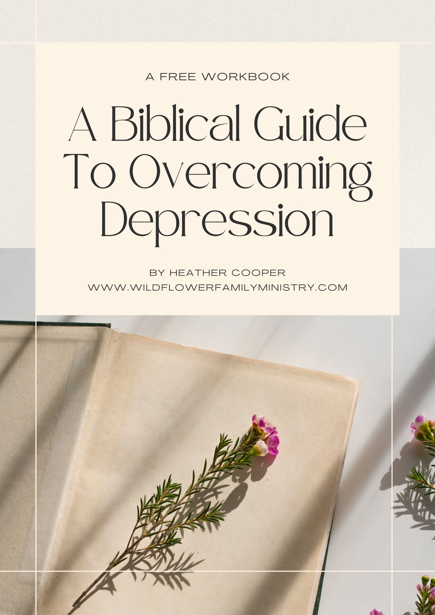 A Biblical Guide to Overcoming Depression